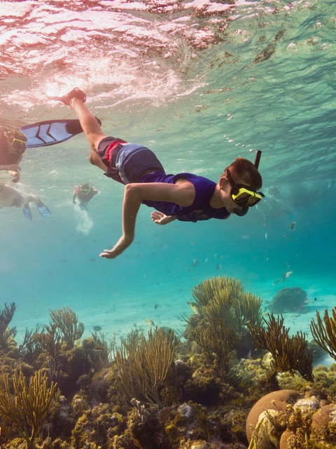 Snorkeling guidato a Santa Teresa Gallura